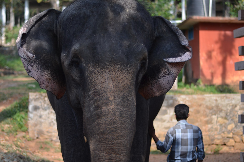paises mas visitados del mundo