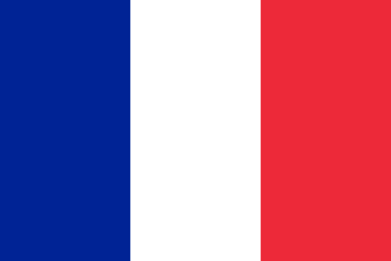 50 Uds. Bandera Francesa Palillo De Dientes Bandera Cóctel Fiesta